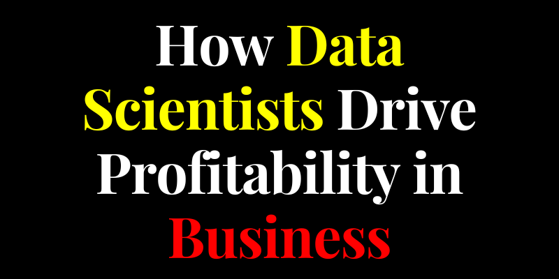 How Data Scientists Drive Profitability in Business